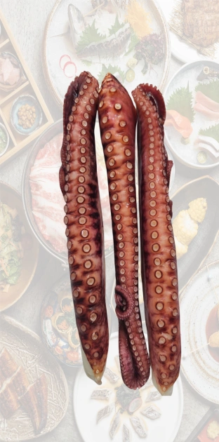 Octopus Indonesia Factory