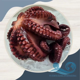 About Octopus Indonesia Exporter