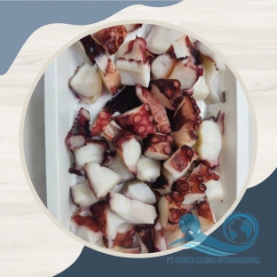 Premium Octopus Indonesia Process